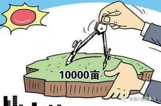 宅基地的未来：从闲置资源到乡村振兴的核心引擎