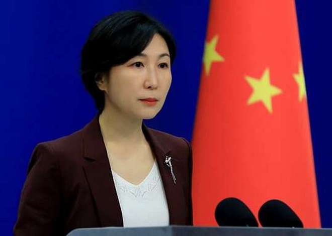 毛宁分享“硬核中国玩具”背后的故事：文化与创新的完美结合