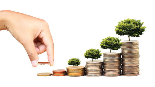 投资心态：极简投资策略的实践与思考