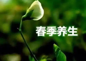 春季养生全攻略：从情志到饮食，为健康打下坚实基础