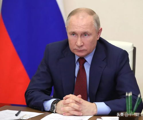 停战后的乌克兰：一场选举背后的深思