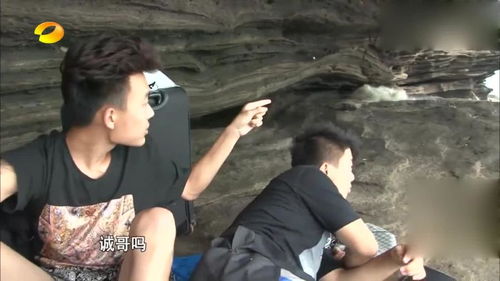 从“真香”到创业：王境泽的蜕变之路