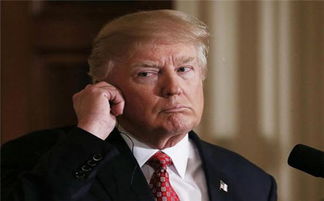 特朗普2.0才满月，好莱坞生态骤变：一个第三人的观察视角