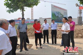 中央督察后22名干部被处理，背后的故事令人深思