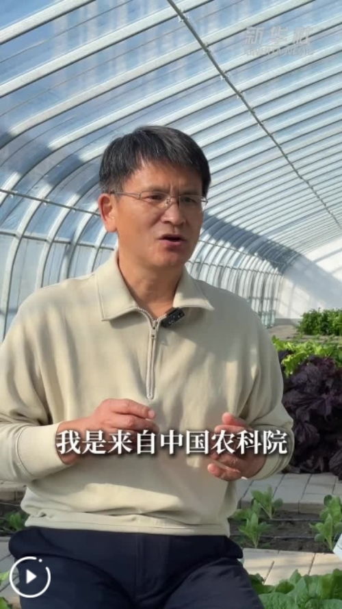 把农业科研作为一生的事业：我的奋斗与梦想