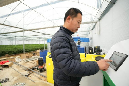 镜头里的春日经济——科技赋能下的春耕新画卷