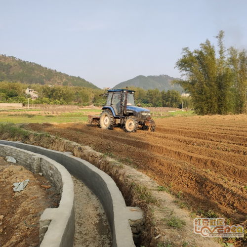 春耕农忙正当时：田野上的希望与汗水