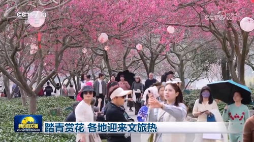 春日的足迹：跟随我一起感受各地文旅热