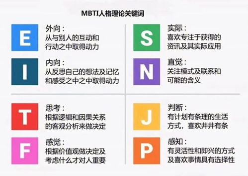 MBTI人格关键词：从ISTJ到ENFP，探索性格背后的秘密