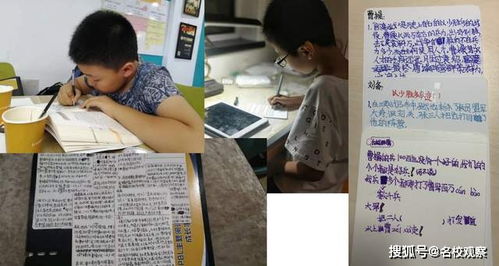 成都辟谣：机器人授课并非取代真人老师，而是助力教学