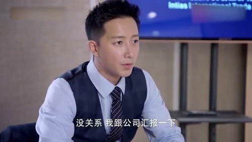 女总监与前夫联手诈骗公司8000万元：我的亲身经历与反思