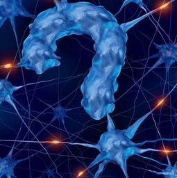 《计算机与人脑》：神经元功能的奇妙之旅