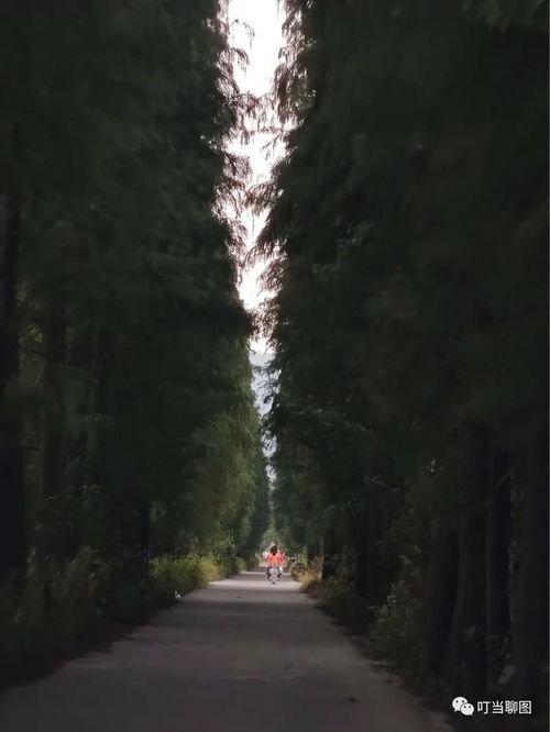 从“脸皮厚”到摄影大师：一名摄影师的成长心路