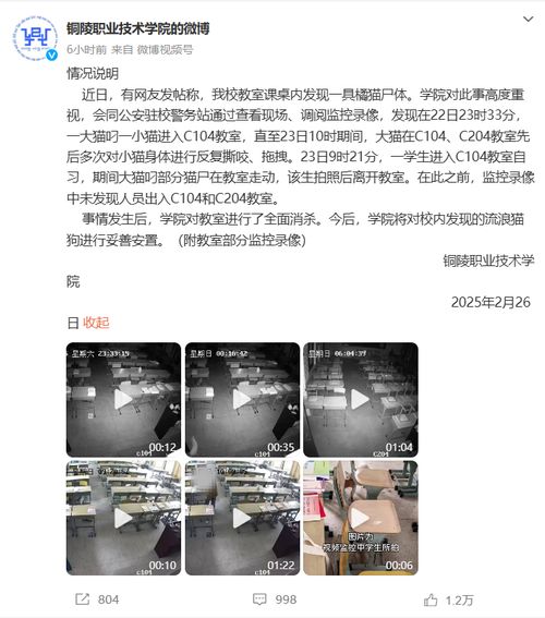 监控还原猫咪尸体被放课桌事件：真相与反思
