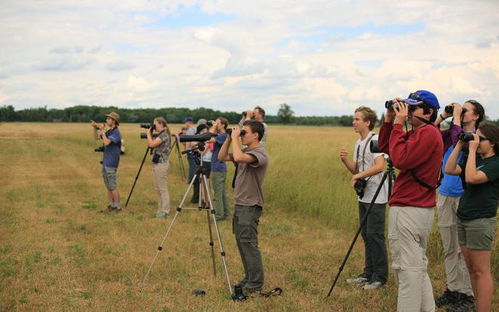 浙江海岛守鸟人：日薪300元，4个月与“神话之鸟”相伴