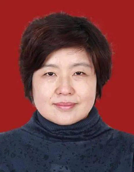 王虹和Joshua Zahl突破三维挂谷猜想，数学界的新里程碑！