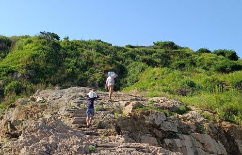浙江海岛上的守鸟人：一场与自然共生的奇妙体验