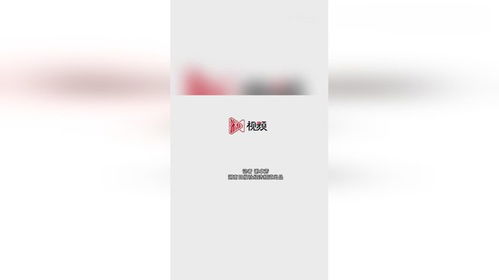 安克创新奖金分红8亿！小李亲历的职场奇迹