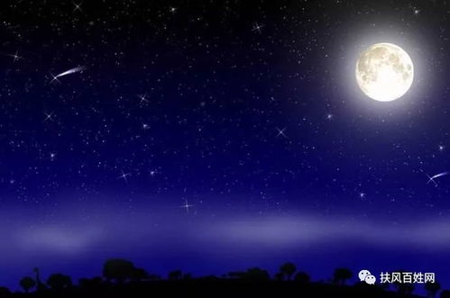 那夜，漫天繁星藏着谁的心事？