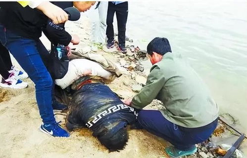 深度剖析：一起令人痛心的案件背后