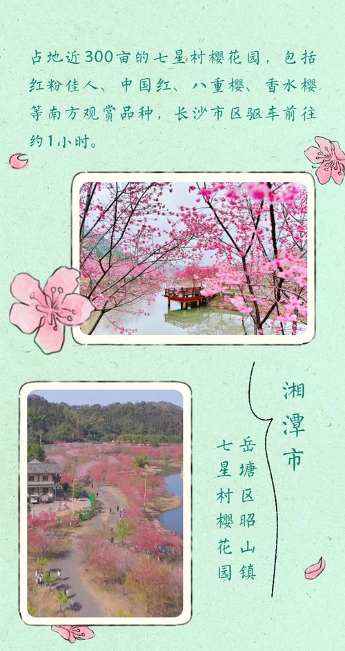 收好这份春日赏花地图攻略，跟着我一起邂逅最美的春天