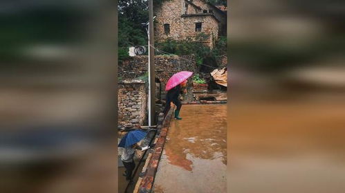 这儿盼雨：一场与自然的深情对话