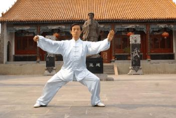 拳势武术术语-杨丽太极拳知识大全：一场与太极拳的深度对话