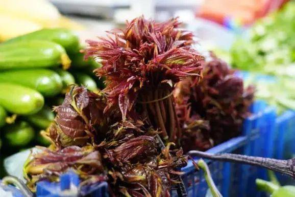 香椿价格飙升，150元一斤背后的故事