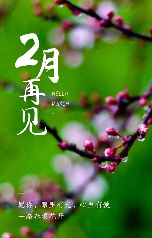 二月的最后一天：那些关于成长与告别的故事