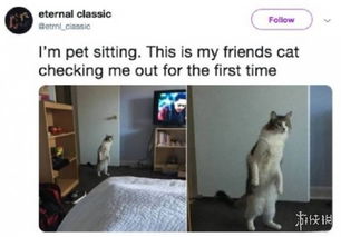 我的梦想：成为不罕见的人