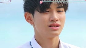 揭秘“桑延鸭中之王”背后的传奇故事