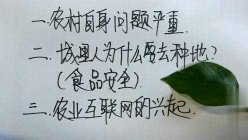 从平凡到闪耀：小桐的勤奋之路