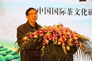 跟随梅毅走天下，探寻苏东坡在海南的足迹