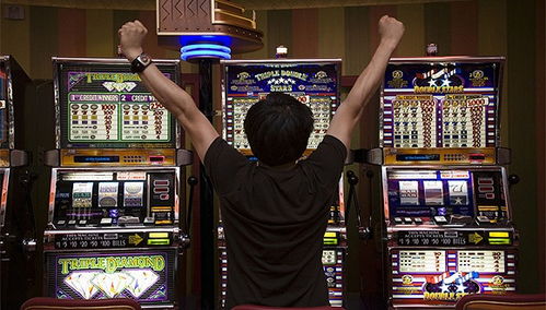 世界是一台老虎机：在不确定性中寻找幸运