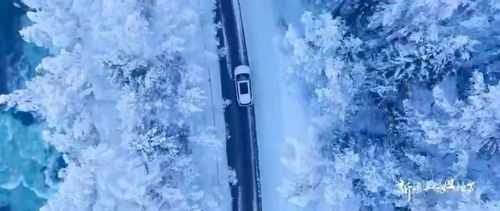 怦然新动的冬天，在新疆遇见不一样的自己