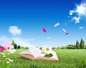 沉默的春天：一个人与自然的深刻对话