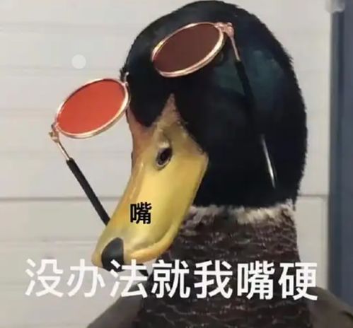 冷静看待中澳关系：从澳防长言论看区域和平的重要性