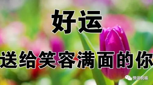 快乐且美好的一天：在简书中发现生活的诗意