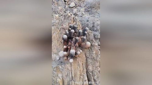 顽强的生命力：他的故事激励了无数人