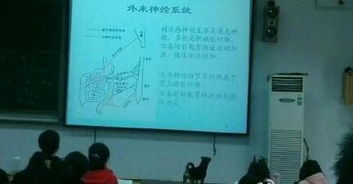 站在讲台上的热爱：他用一生诠释教育的意义