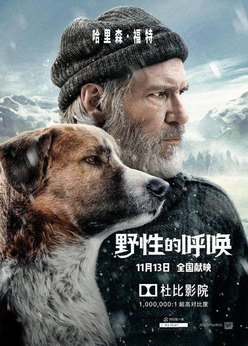 《野性的呼唤》：从平凡到野性，一场灵魂的觉醒之旅