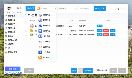 多网盘批量管理工具PanTools v1.0.51：让文件管理更高效