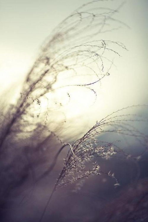 用平常心面对“火”的现象：我的成长与思考