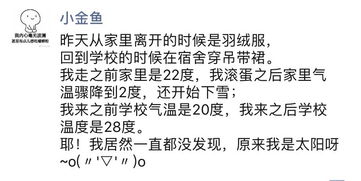 当乔木选择活成段子：时代的狗血与个人的挣扎