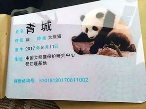 屈驾掏心访卧龙：一场跨越时空的心灵对话