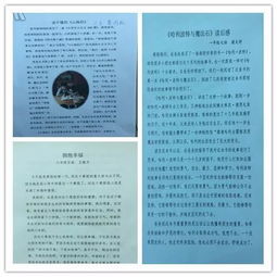 聚焦核心素养：构建属于你的综合评价体系