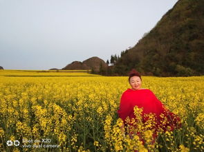 一路繁花：滇东南的诗意旅程