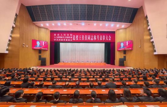 追寻正义的光芒：王佳佳法官的故事