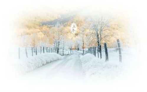 遇冬：一场与寒冬的内心对话