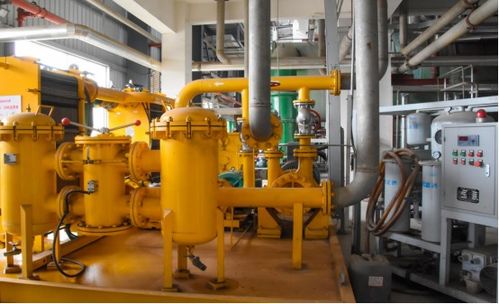 亲历农发行清河县支行助力农业创新产业园：一个普通人的见证